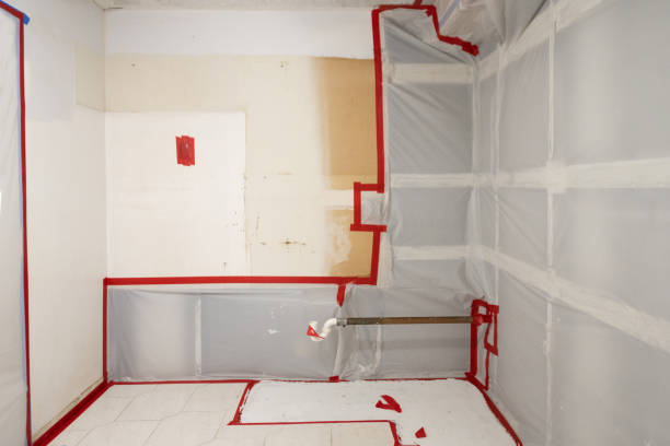 Best Airborne Mold Testing  in Argentine, MI