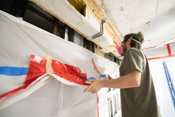 Best Mold Removal for HVAC Installations  in Argentine, MI