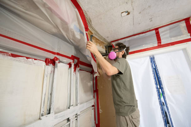 Best Emergency Mold Remediation  in Argentine, MI