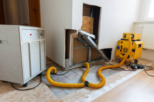 Best Commercial Mold Inspection  in Argentine, MI